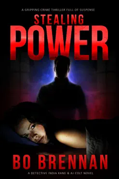stealing power imagen de la portada del libro