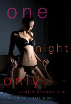 one night only book cover image