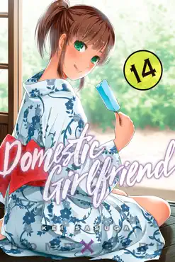 domestic girlfriend volume 14 book cover image