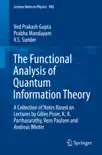The Functional Analysis of Quantum Information Theory synopsis, comments