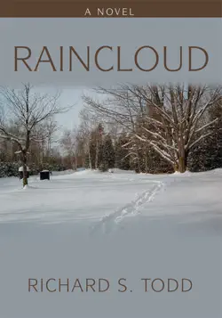 raincloud book cover image