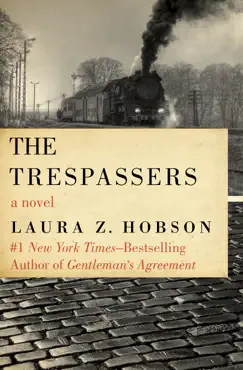 the trespassers book cover image