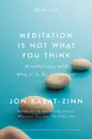 Meditation Is Not What You Think synopsis, comments