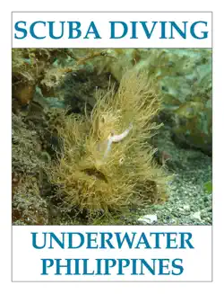 scuba diving - underwater philippines book cover image