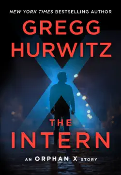 the intern book cover image