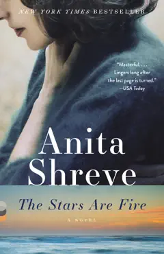 the stars are fire book cover image