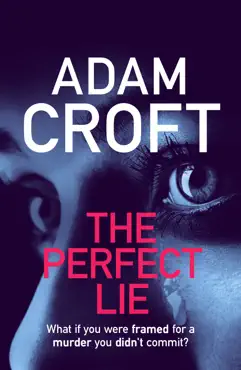 the perfect lie book cover image