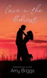 Love in the Midwest synopsis, comments