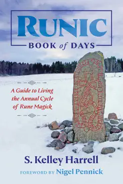 runic book of days book cover image