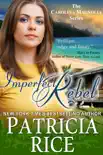 Imperfect Rebel synopsis, comments