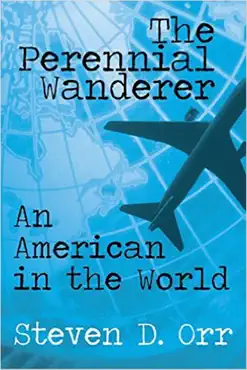 an american in the world book cover image