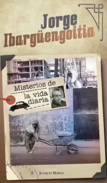 misterios de la vida diaria book cover image