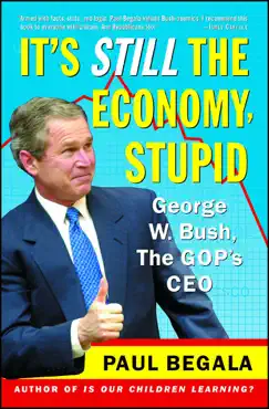 it's still the economy, stupid book cover image