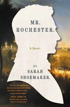 mr. rochester book cover image