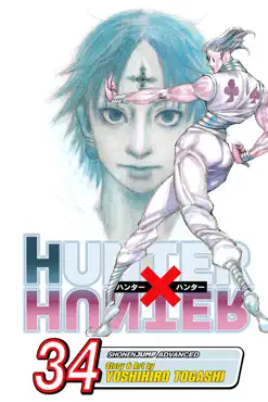 hunter x hunter, vol. 34 book cover image