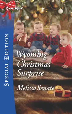 wyoming christmas surprise book cover image