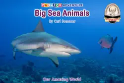 big sea animals book cover image