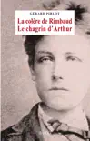La colère de Rimbaud, le chagrin d'Arthur sinopsis y comentarios