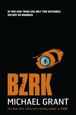 bzrk book cover image
