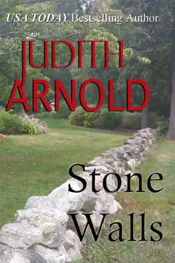 stone walls book cover image