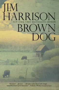 brown dog book cover image
