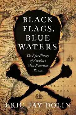 black flags, blue waters: the epic history of america's most notorious pirates book cover image
