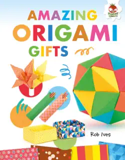 amazing origami gifts book cover image
