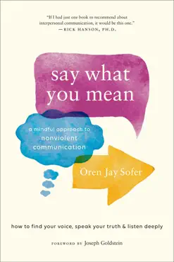 say what you mean book cover image
