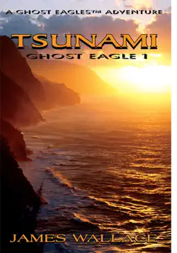 tsunami book cover image
