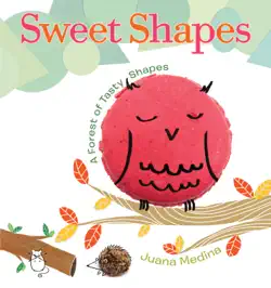 sweet shapes book cover image