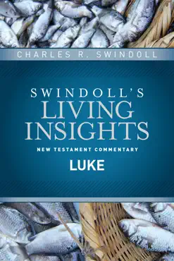 insights on luke book cover image