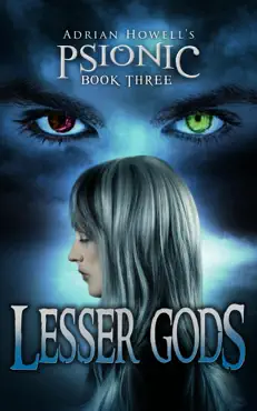 lesser gods book cover image