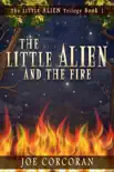 The Little Alien and the Fire synopsis, comments