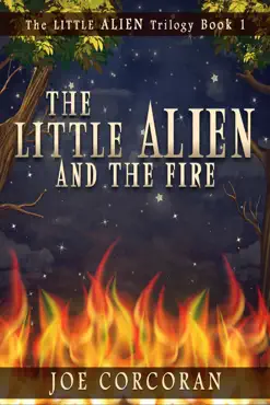 the little alien and the fire imagen de la portada del libro
