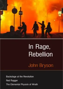 in rage, rebellion book cover image