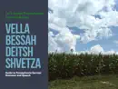 Vella Bessah Deitsh Shvetza - Text Buch reviews