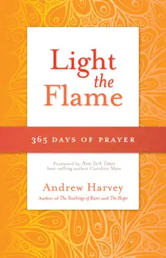 light the flame book cover image