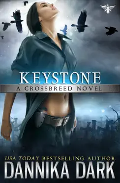 keystone book cover image