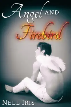 angel and firebird imagen de la portada del libro