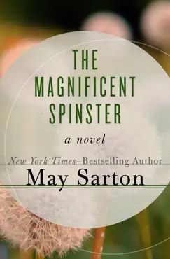 the magnificent spinster book cover image