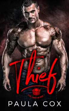 thief book cover image