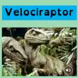 Velociraptors synopsis, comments
