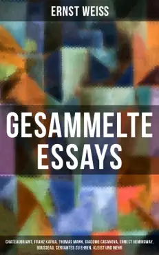 gesammelte essays book cover image