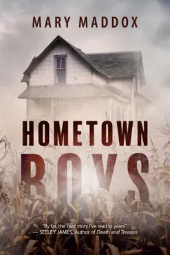 hometown boys book cover image