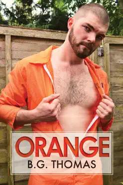 orange book cover image