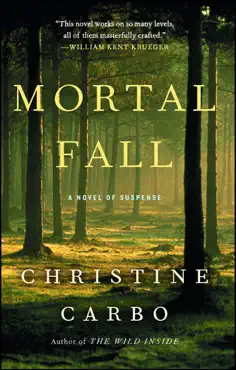 mortal fall book cover image
