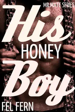 his honey boy book cover image