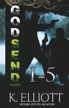 godsend series 1: 5 book cover image