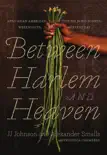 Between Harlem and Heaven synopsis, comments
