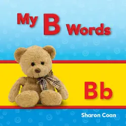 my b words book cover image